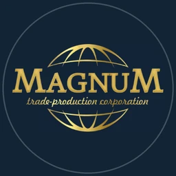 Magnum — website by PrometeyLabs
